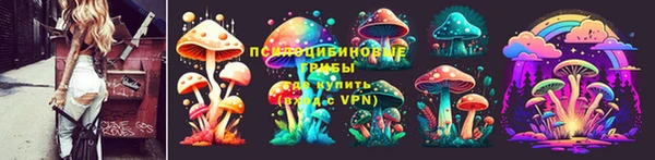 эйфоретик Алексин