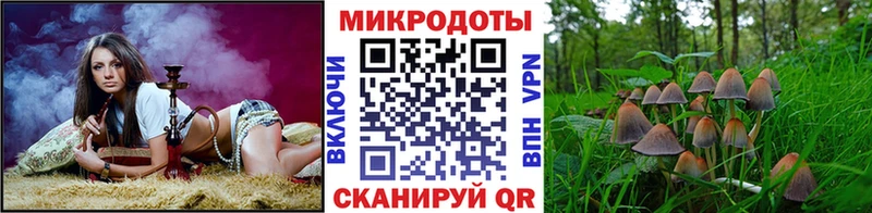 Галлюциногенные грибы Magic Shrooms Кирсанов